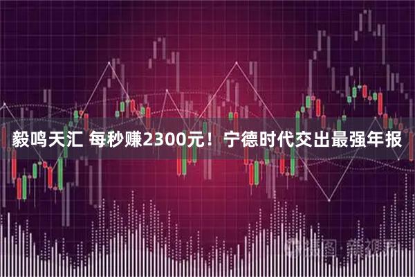 毅鸣天汇 每秒赚2300元!宁德时代交出最强年报